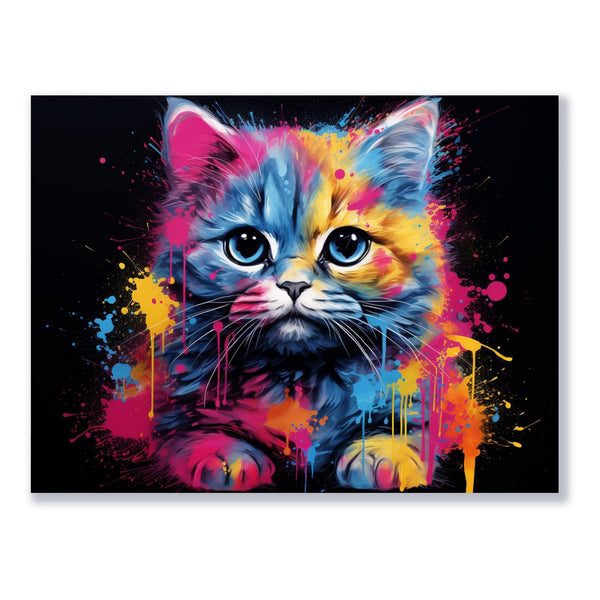 Farbiger Katzenblick 30x40 cm / 12x16″ / Poster auf halbmattem Papier